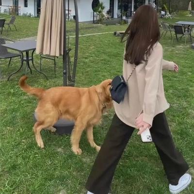 犯罪心理第七季